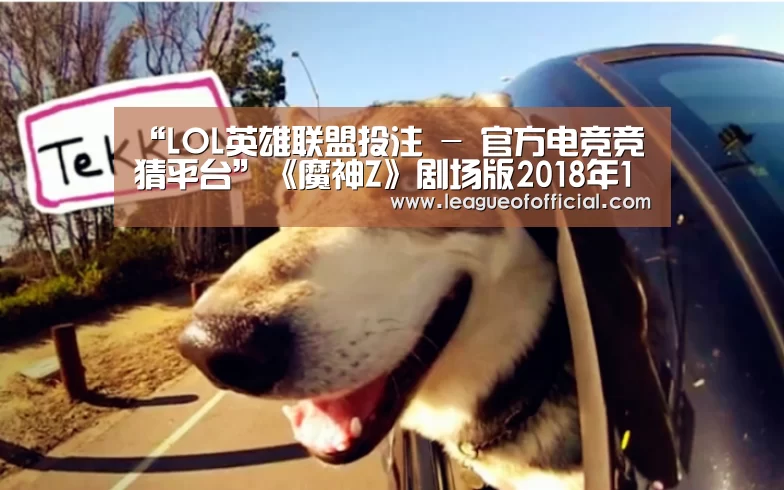 LOL英雄联盟投注 - 官方电竞竞猜平台官网