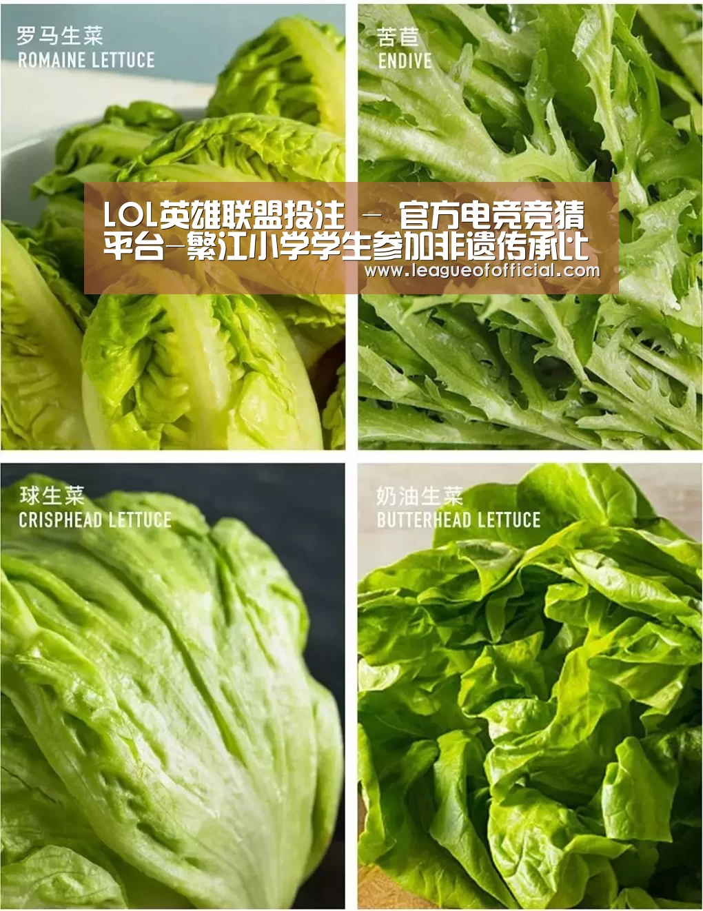 电竞直播