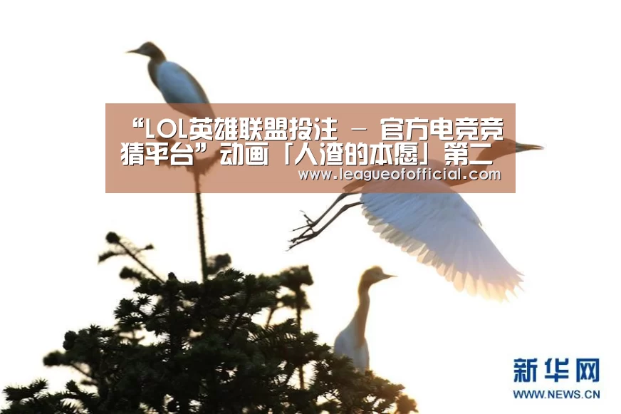 LOL英雄联盟投注 - 官方电竞竞猜平台官网